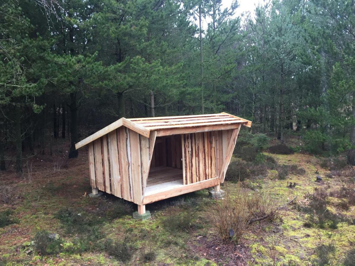 Hjortestien 7 Henne Strand Luaran gambar